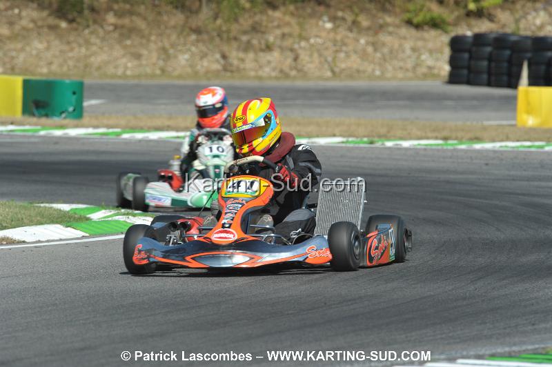 DSC_ (1135).JPG